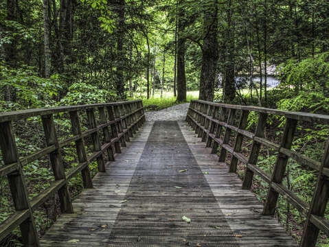 Walk with nature