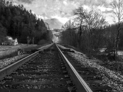 Into the hills bw