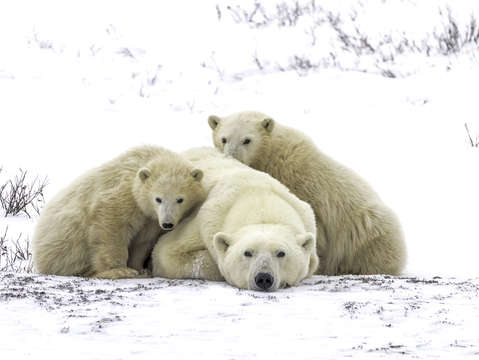 Family portrait 8455