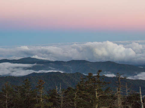 Clingmans dome