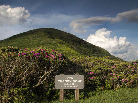 View Craggy Dome