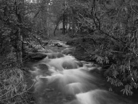 Just Flowing