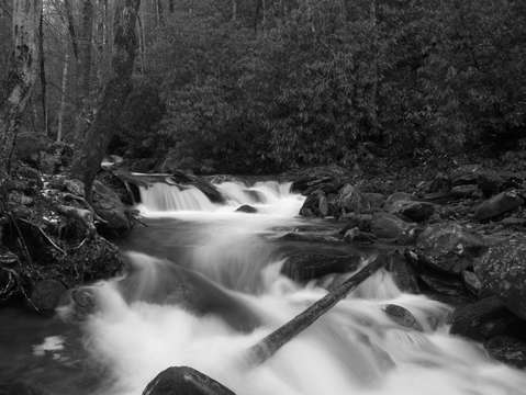 Cascade