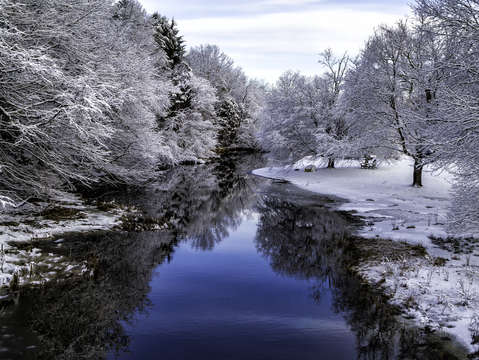 Winter wonderland 3