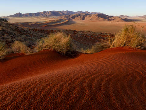 Red dunes