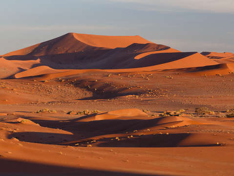 Dune sunrise