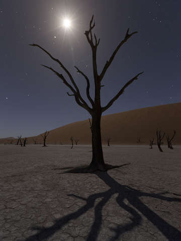 Moon star