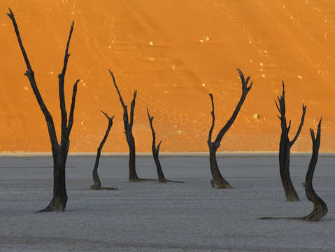 Deadvlei sunrise