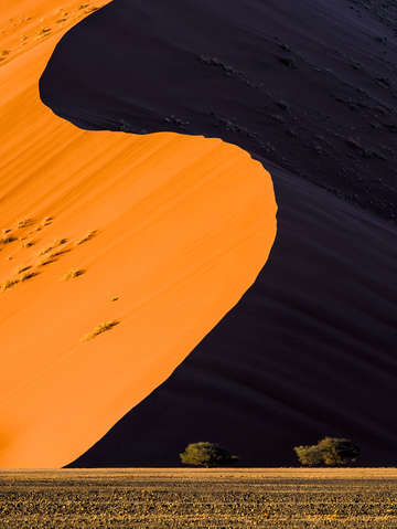 Orange and purple