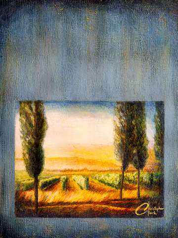 A Stroll Through the Vineyard