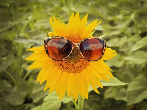 Try not to smile