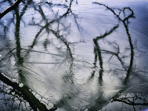 Ice Art