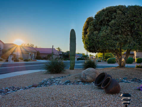 Desert mornings
