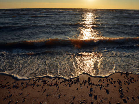 Seaside Society