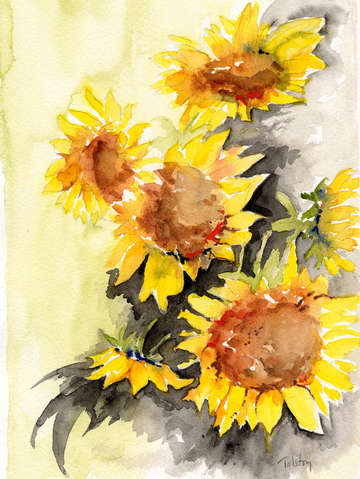 Sunfloers