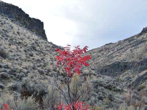 Alive in the valley