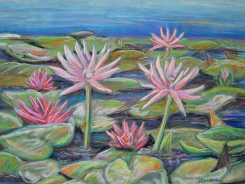 Lilies galore