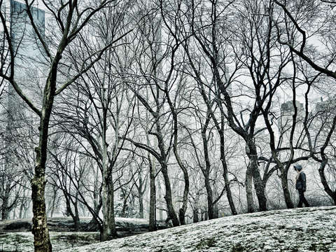 Central Park Solitaire