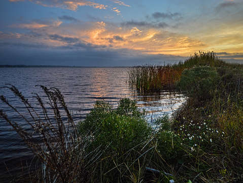 Shoreline Sunrise