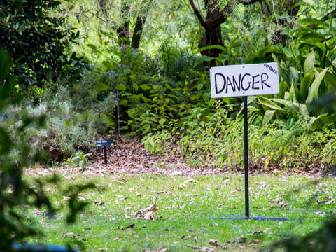 Danger 2