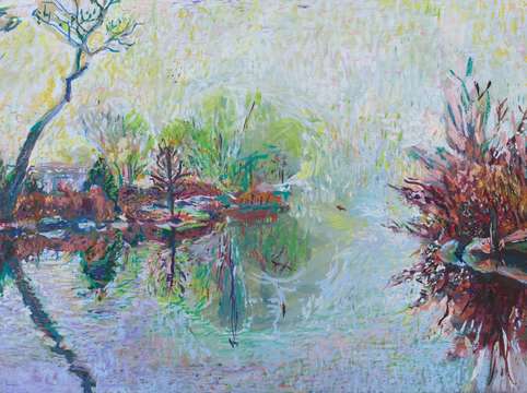Reflections in midst