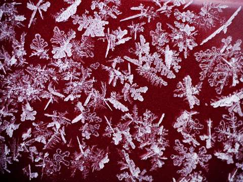 Snowflakes on red