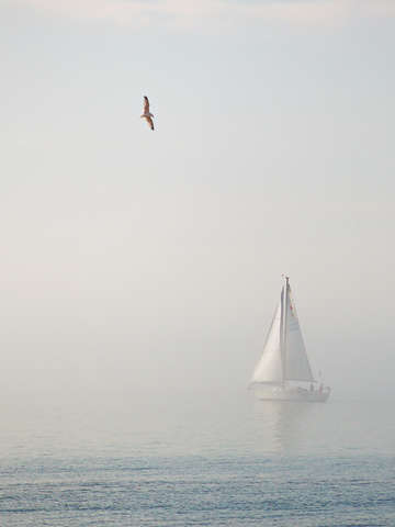 Sailing the fog