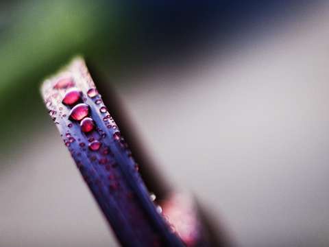 Droplets