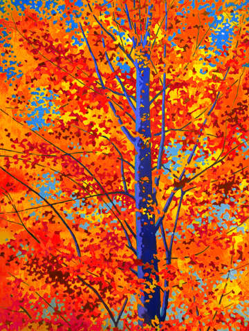 Fall in red and yellow
