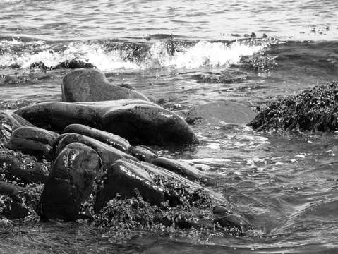 Ocean Rocks