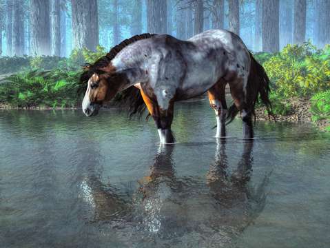 Wading horse