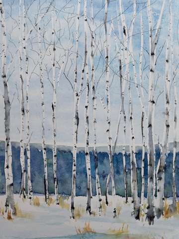 The birch line