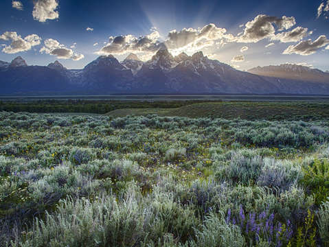 The teton range