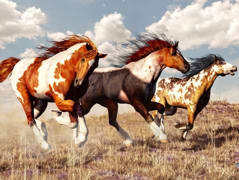 Galloping mustangs