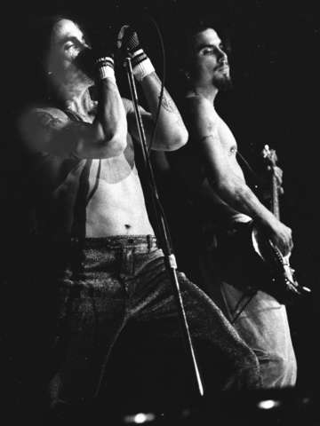 Chilli peppers