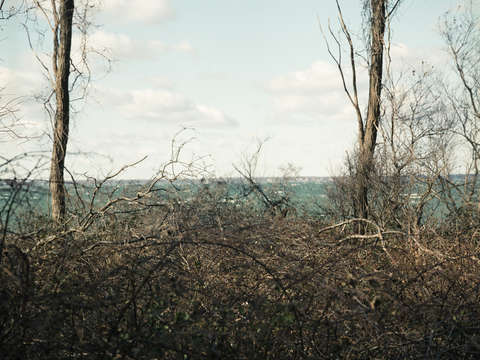 Little peconic bay 01