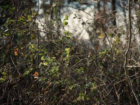 Little Peconic Bay 02