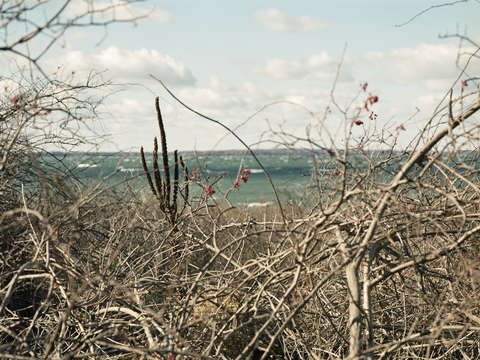 Little peconic bay 04