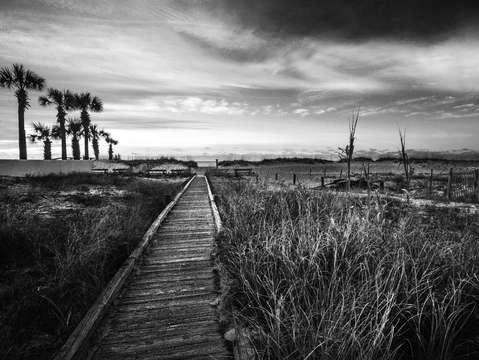 Beach walk to sunrise bw