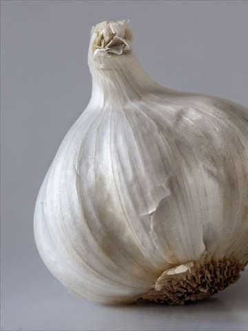 Garlic 2