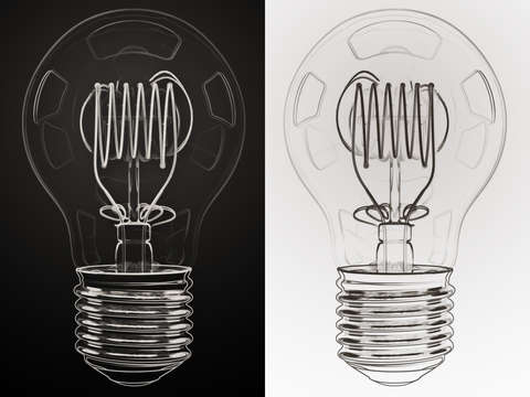 White Bulb Black Bulb