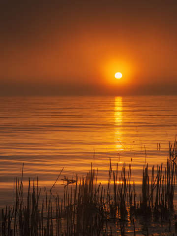 Sunrise through the fog