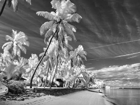 Beachscape in infrared