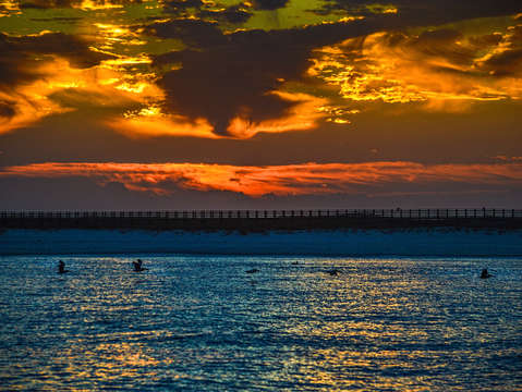 Pelicans under the sunset