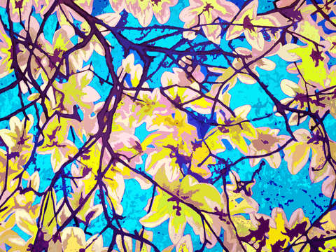 Magnolias