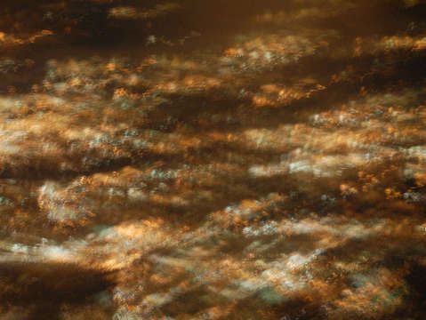 Stars on the ground 4