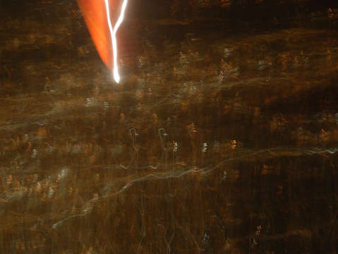 Stars on the ground 5