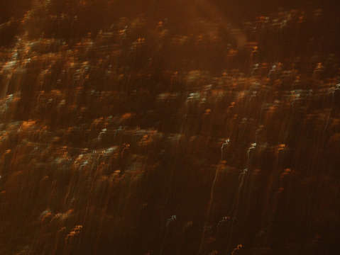 Stars on the ground 6