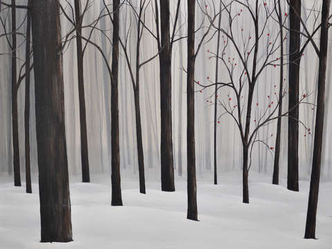 Februarys snow