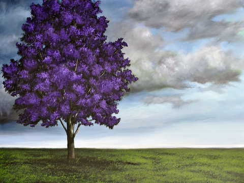 Violet Blossom